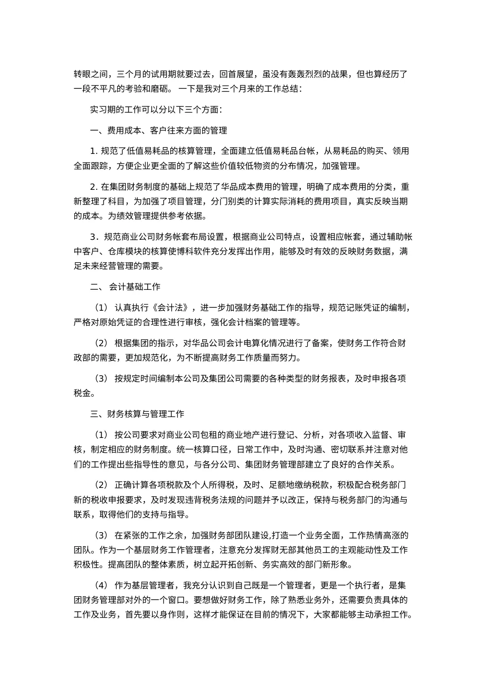 会计工作总结（试用期）- 财务工作全面总结与反思 第2页