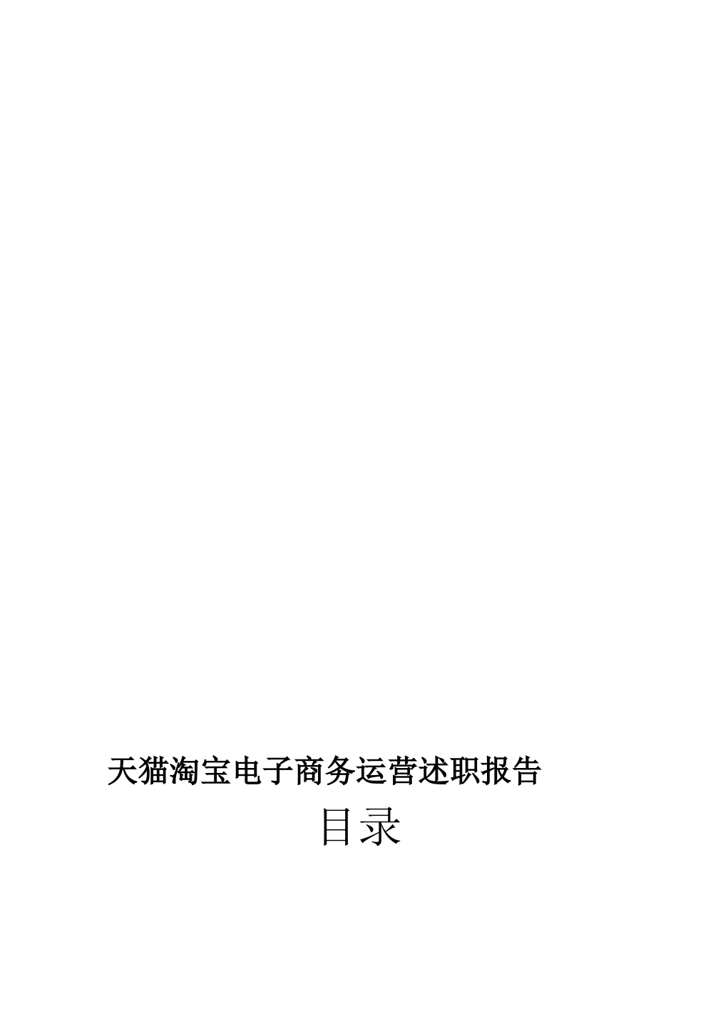 天猫淘宝电商运营述职报告 - 2015年度工作总结 第2页
