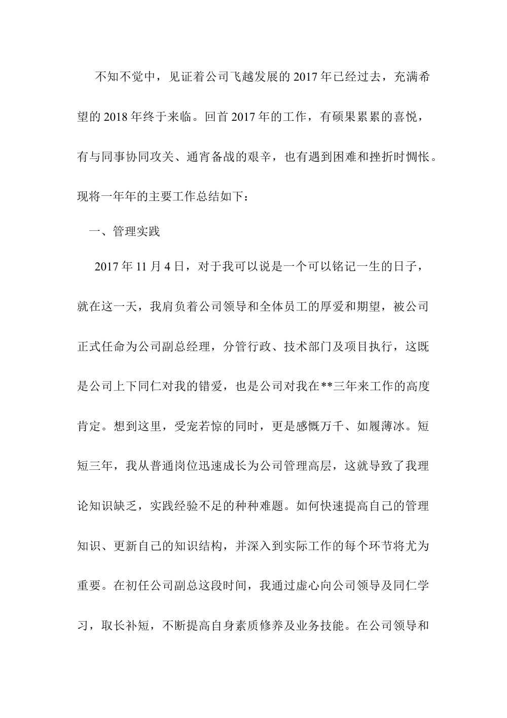 2017年公司副总经理年度工作总结 第3页