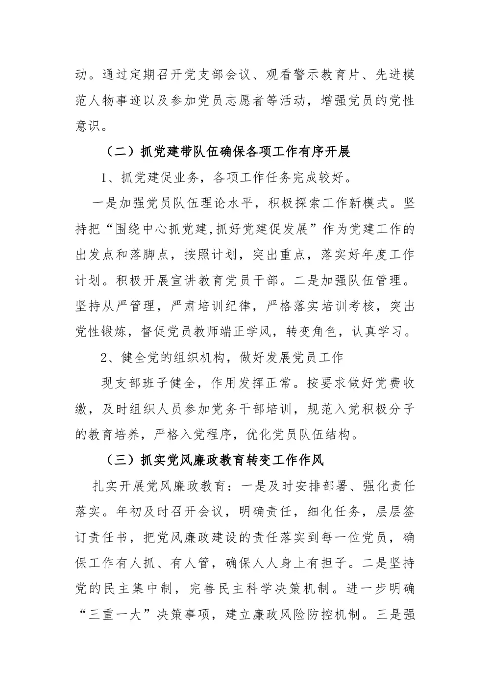 2017年党建工作总结-党组织建设成果汇报 第3页